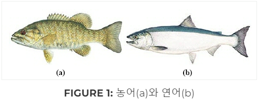 image-20220928161915257
